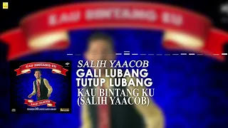 Salih Yaacob - Gali Lubang Tutup Lubang (Official Stream Video)
