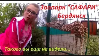 VLOG Зоопарк "САФАРИ", Бердянск 2019