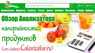 КАК быстро и просто СЧИТАТЬ КАЛОРИИ и БЖУ в АНАЛИЗАТОРЕ калорийности ПРОДУКТОВ на Calorizator