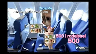 POV  my✨Cat✨ 500  Holiday at The Airport in Singapore!