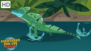 Aventuras con los Kratt | Lagartija [episodios completos]