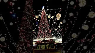 Christmas tree 2022. Kyiv. Ukraine. Новогодняя ёлка 2022. Киев. Украина.