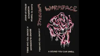 Wormface - A Sound You Can Smell (Full Demo 2023)