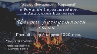 "Цветы распустятся сами" прямой эфир №3  9 апреля 2020 год, проект "Костёр Померанца и Миркиной".