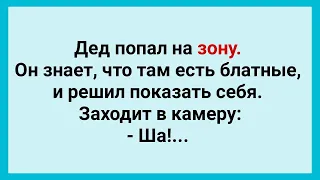 Дед Попал на Зону к Блатным! Подборка Веселых Жизненных Анекдотов! Юмор!