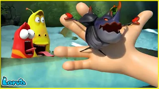 LARVA | STRANDED | CARTOON MOVIE FOR LIFE | THE BEST OF CARTOON | HILARIOUS CARTOON COMPILATION