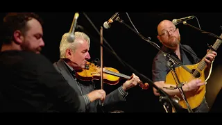 Old Blind Dogs - EDINBURGH TRADFEST 2020 - BUNKER HILL