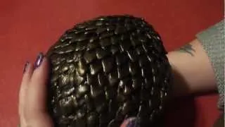 Dragon Egg- Tapping, Scratching, Whispering & Relaxation