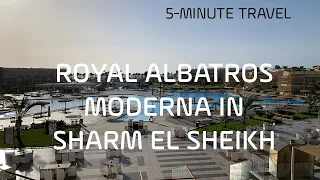 ROYAL ALBATROS MODERNA IN SHARM EL SHEIKH