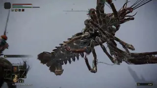 Elden Ring has the most realistic horseback Giant Lobster fights!
