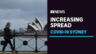 NSW records 112 COVID-19 cases, highest daily number in outbreak | ABC News