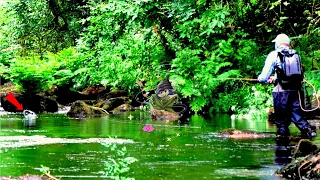 Fly fishing for trout in the land of wacky elves