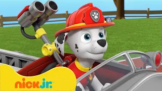 Patrulha Canina | Melhores Momentos da 8ª Temporada da Patrulha Canina! 🐶 (Parte 2) | Nick Jr.