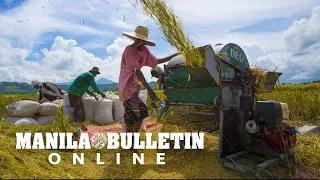 Agri sector's 2024 budget higher by 6 percent --- DBM chief