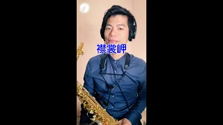 襟裳岬 - 鄧麗君 (Saxophone Cover 孫維廷) Live Version