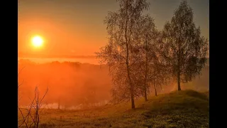 Душевное исполнение👍 «ЗОРИ ЯСНЫЕ»