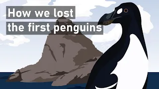 Great Auks: The First Penguins