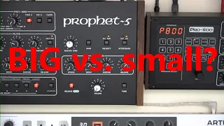 PRO-800 vs. Prophet-5: David and Goliath?