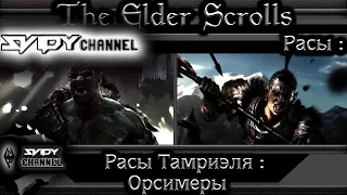 The Elder Scrolls|Расы Тамриэля: Орсимеры(Лор)