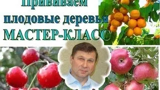 ПРИВИВКА плодовых деревьев,  МАСТЕР-КЛАСС + советы