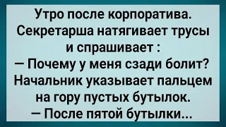 Как Секретарша На Корпоративе Буянила! Сборник Свежих Анекдотов! Юмор! Позитив!