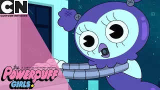 The PowerPuff Girls | Never Steal From Boop | Cartoon Network