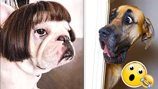 Funny Dog Videos That Make You Laugh 😁 - Cute Pets Reactions 🐶