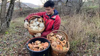 РЫЖИКИ КИДАЮТСЯ на людей, аккуратно! Дикий закос грибов