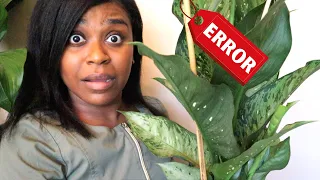 PLANT Unboxing Gone WRONG? Live Reaction