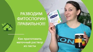 ФИТОСПОРИН: как развести ПАСТУ/ инструкция по применению для обработки земли (грунта) для рассады