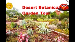 Desert Botanical Garden Tour