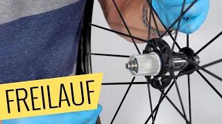 Fahrrad Freilauf austauschen - einfach & schnell - Fahrrad.org