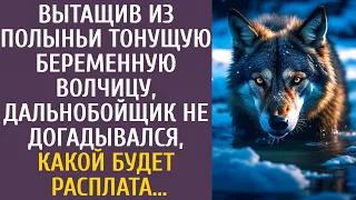 Вытащив из полыньи тонущую беременную волчицу, дальнобойщик даже не догадывался какой будет расплата