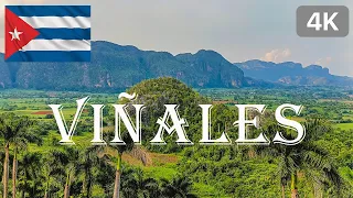 VIÑALES | CUBA | 4K