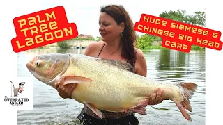 PALM TREE DAY 1. Fishing with Kitty Robertson. Huge Chinese big head & Siamese carp + other species.