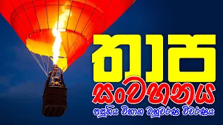 Mahen Jecob | තාප භෞතිකය | තාප සංවහනය | පසුගිය විභාග බහුවරණ විවරණය