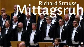 Mittagsruh von Richard Strauss - Männerchor - Kölner Männer-Gesang-Verein - KMGV