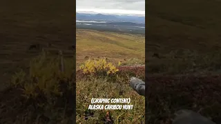 Alaska Caribou Hunt (Graphic Content) #alaska #hunting #shorts