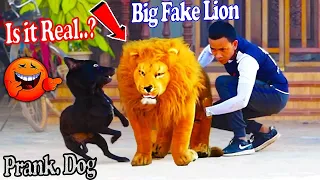 Big Fake Lion vs Prank Dogs Along Village - Must Watch Very Funny Video Prank Dogs