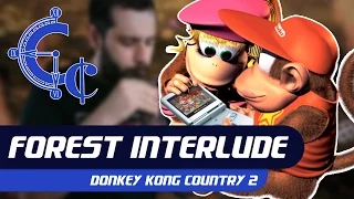 Forest Interlude - Donkey Kong Country 2 Guitar Cover || ChequerChequer