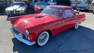 Test Drive 1955 Ford Thunderbird Convertible SOLD $29,900 Maple Motors #1924