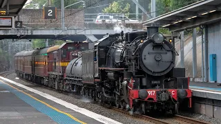 Steam Train Through Sydney's Southern Suburbs! (The Christmas Kiama Picnic Train) | 5917 & 4716