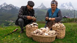 Mountain to Table: Foraging and Cooking Mushrooms in Shahdag