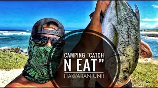 Camping Hawaii - Catch n Cook - Uni, Opihi and Papio EP 23