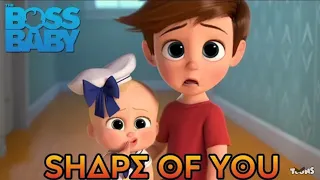 Shape Of You - Boss Baby Version [KRAAZY SMV]