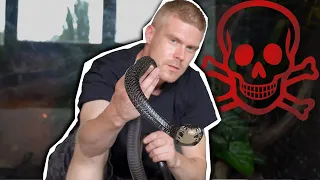 My MOST DANGEROUS filming day + venomous snakes in terrariums PART 2 *english subtitles*