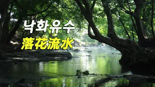 남인수 - 낙화유수