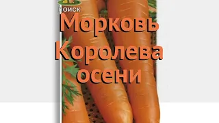 Морковь обыкновенный Королева осени 🌿 обзор: как сажать, семена моркови Королева осени