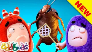 Hamamböceği Gecesi | Oddbods | YENİ | Çocuklar için Çizgi Filmler