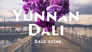 Dali, Yunnan. Field notes. Vol 20